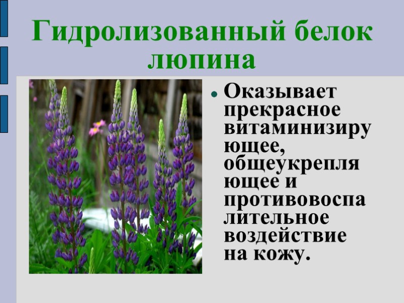 Гидролизованный белок люпина Оказывает прекрасное  витаминизирующее, общеукрепляющее и противовоспалительное воздействие на кожу.